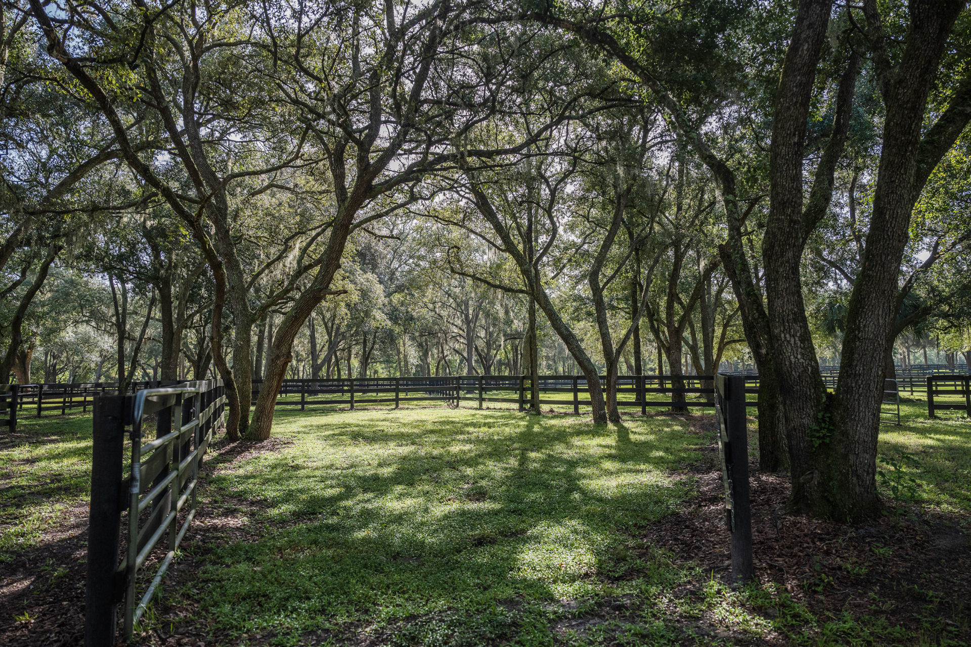 Contact Us for Equine, Horse Event, or Venue Needs