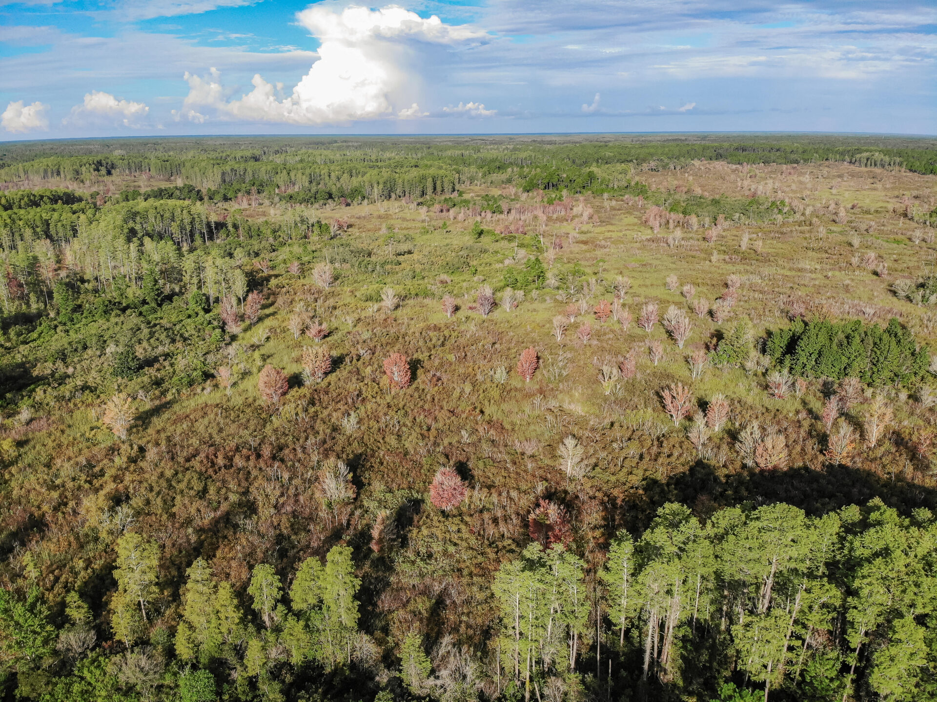 Explore trails and relax in nature for your weekend getaway