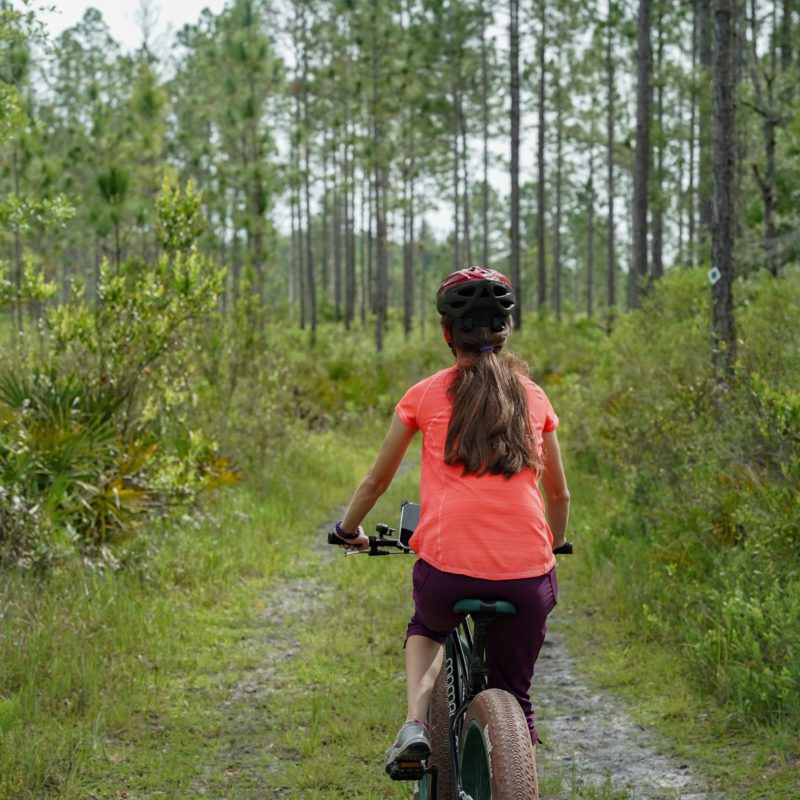 Explore bicycling trails in the Goethe State Forest when you stay at Black Prong Florida Nature Resort
