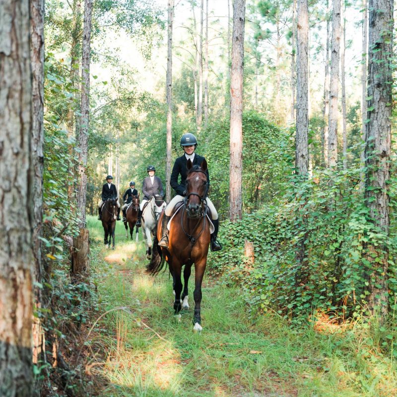 Riders enjoying a trail ride on horseback.