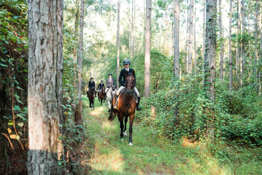 Riders enjoying a trail ride on horseback.