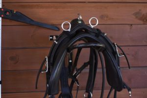 Horse tack displayed in a barn. 