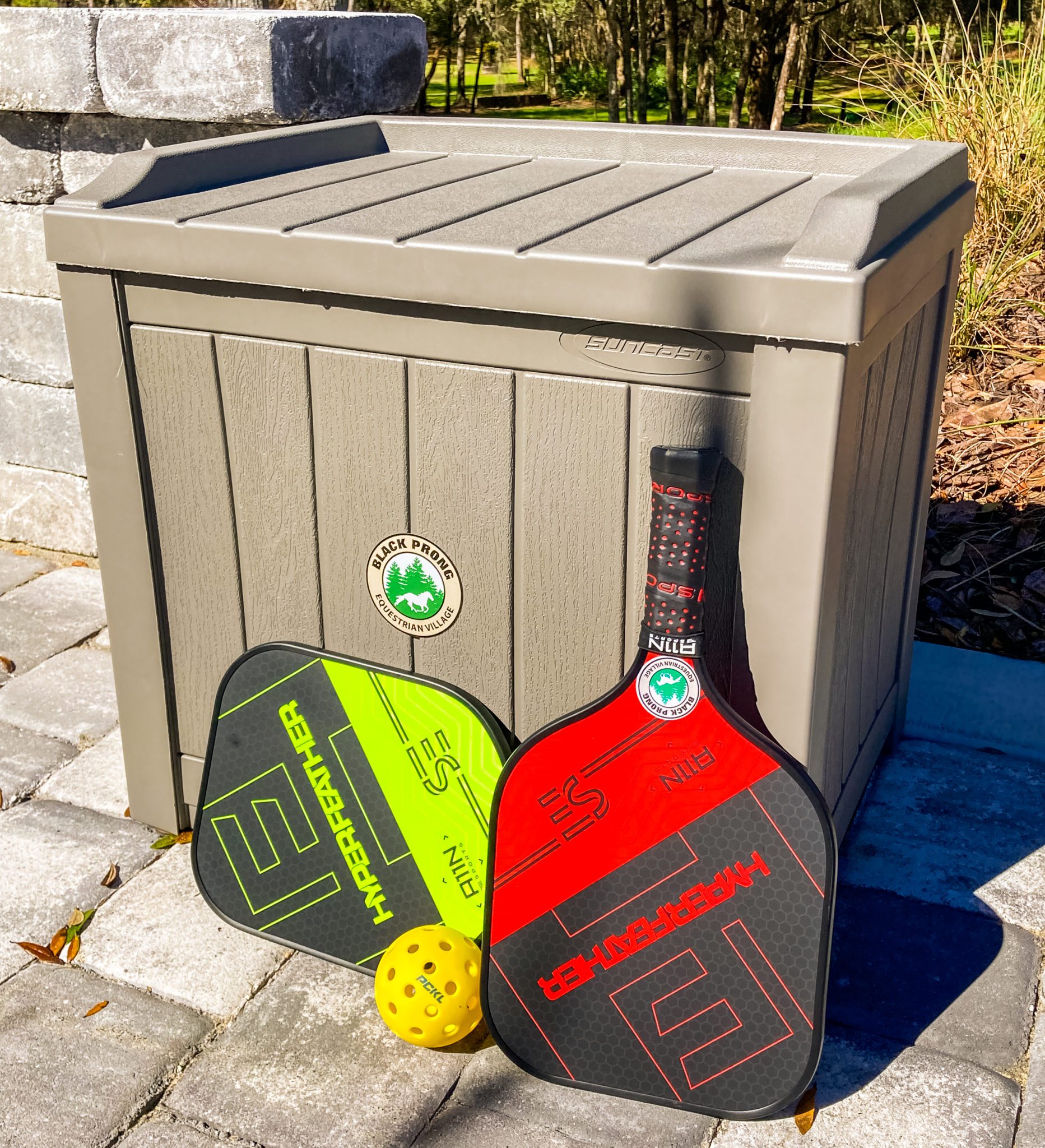 Let's Play Pickleball! Black Prong