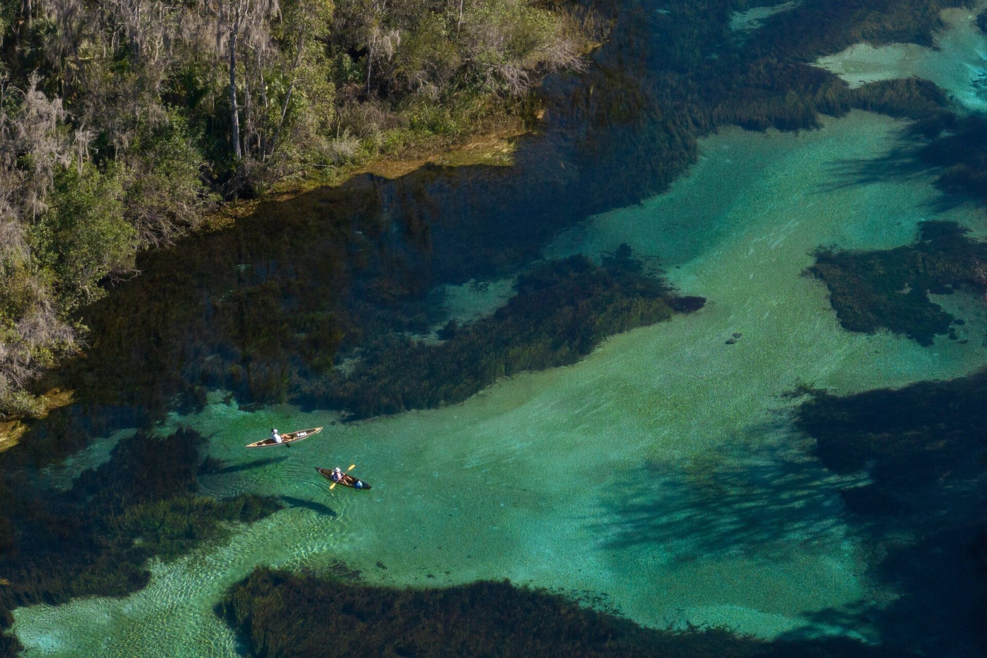 rainbow river image Photo by Carlton Ward Jr./WildPath