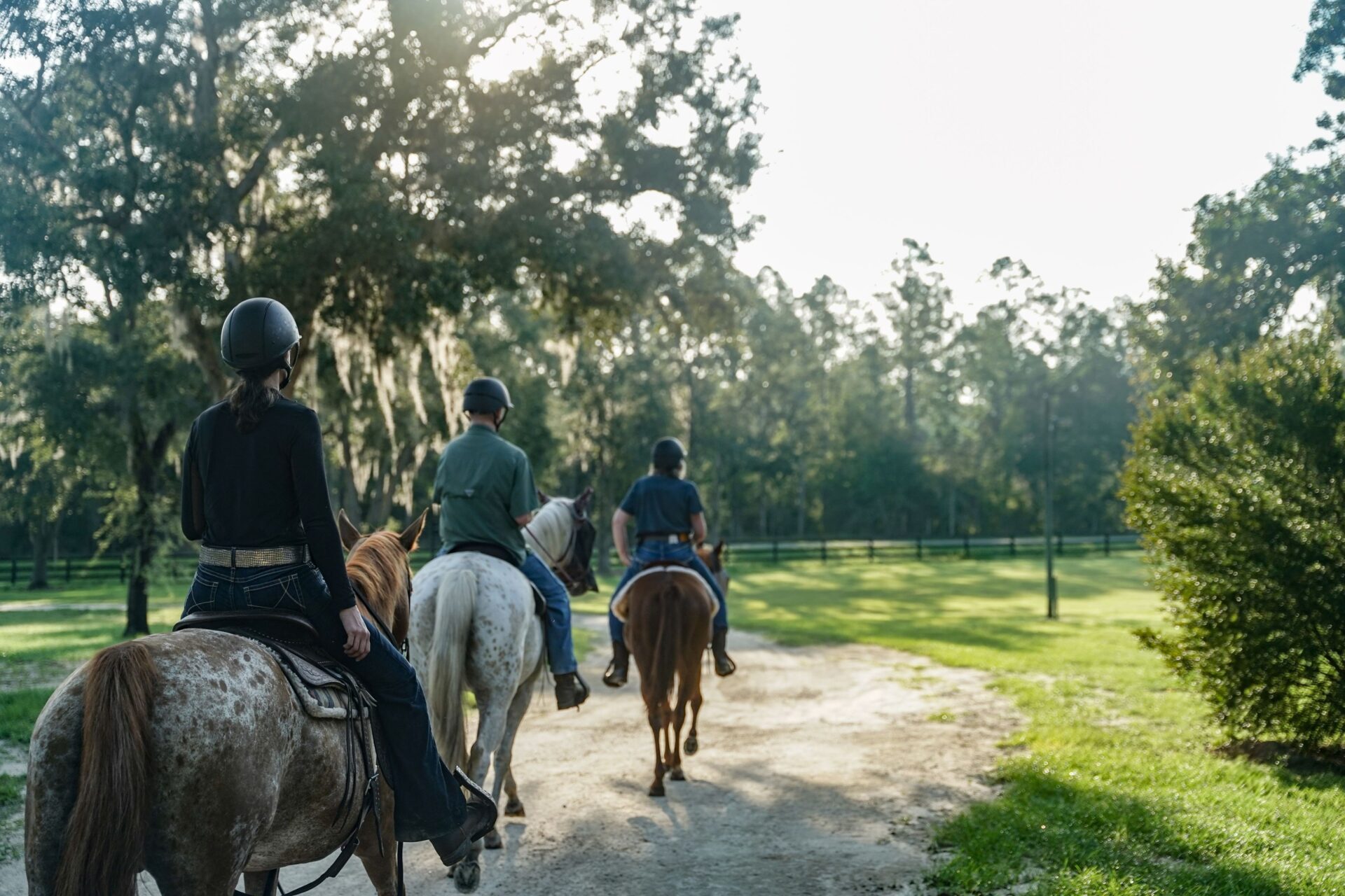 Trail riding, horses, Goethe forest trail riding, black prong adventures