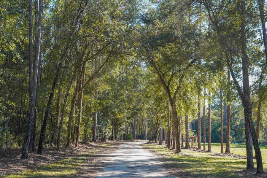 Tranquil path with a tree canopy at Florida resort Black Prong