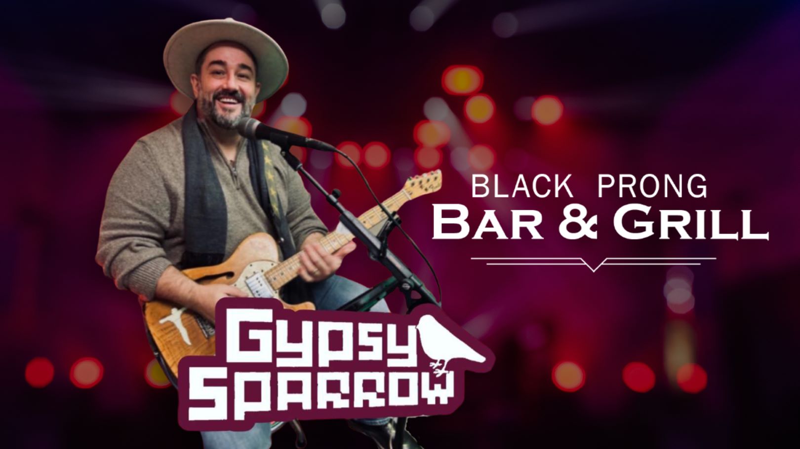 Live music performance at the Bar and Grill with Gypsy Sparrow