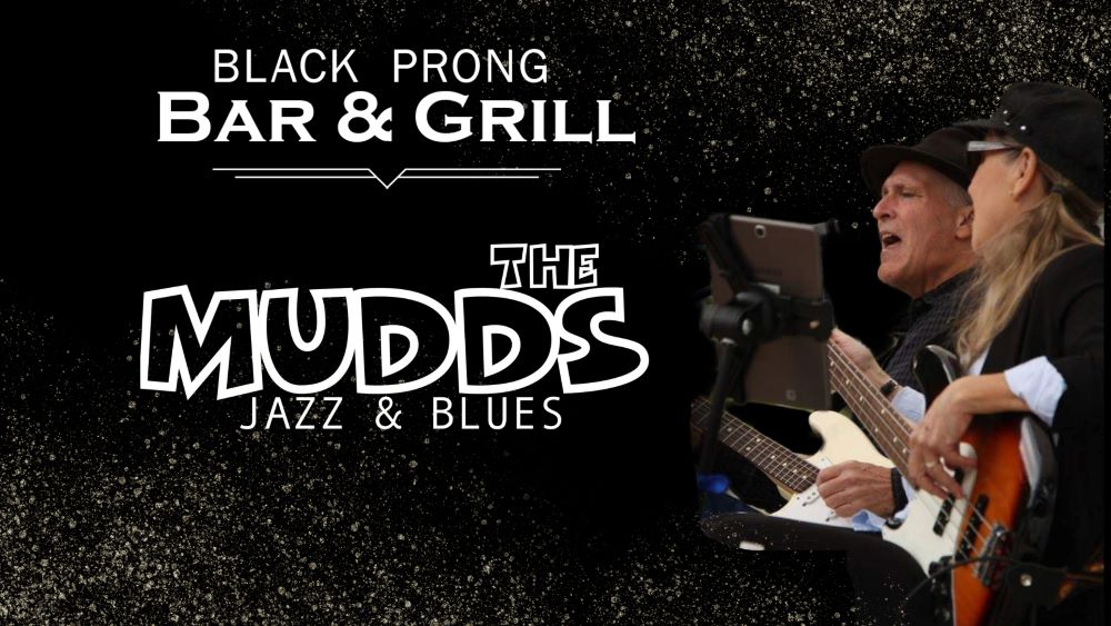 Live music performance at the Bar and Grill with The Mudds