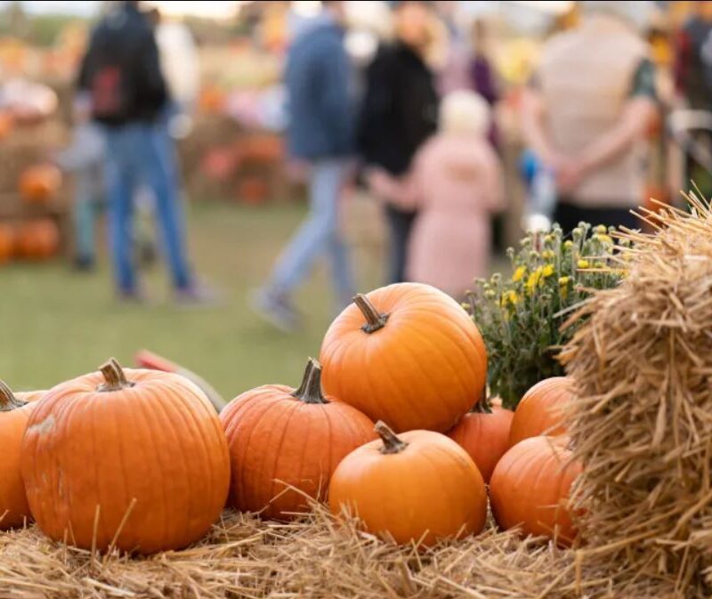 Fall pumpkin photo