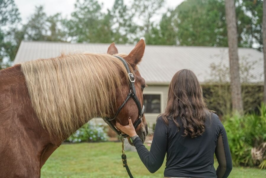 cottages with attached horse stables, vacation with your horse