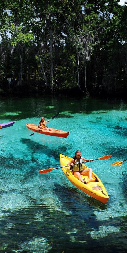 Photo by Discover Crystal River Florida.