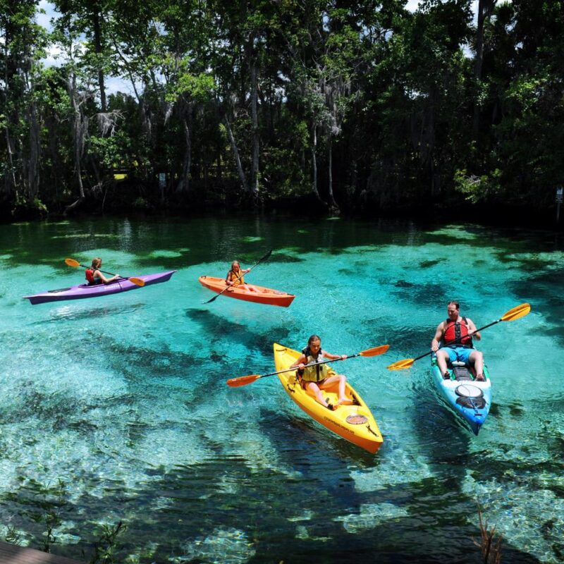 Photo by Discover Crystal River Florida.