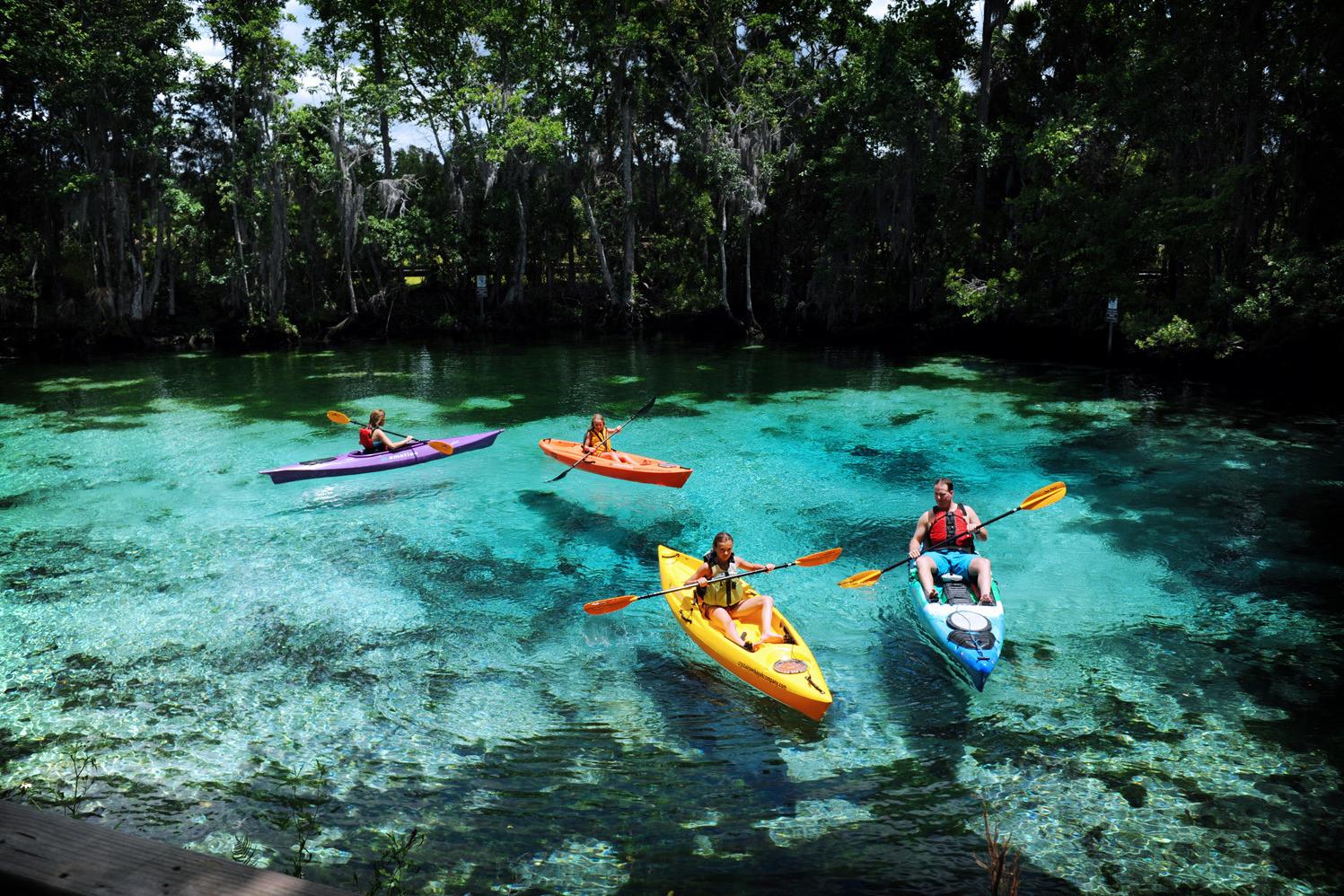 Local Kayaking Adventures!