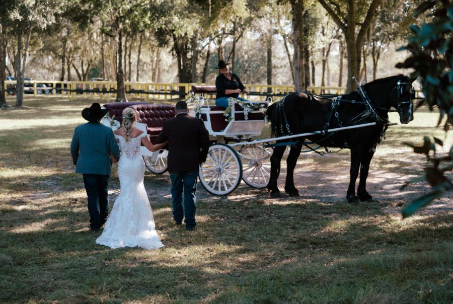 Horse and carriage wedding ceremony