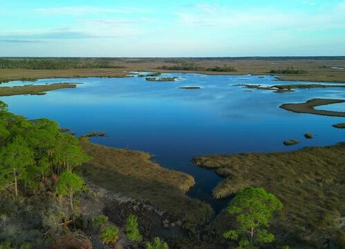 Florida nature coast