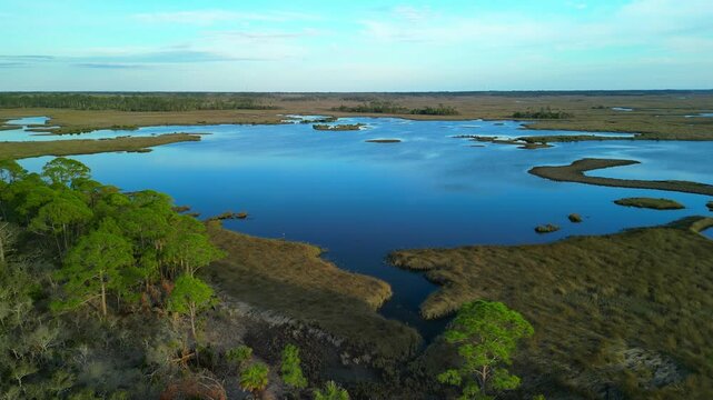 Florida nature coast