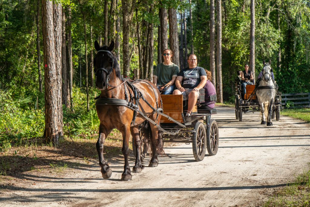 carriage tours at black prong