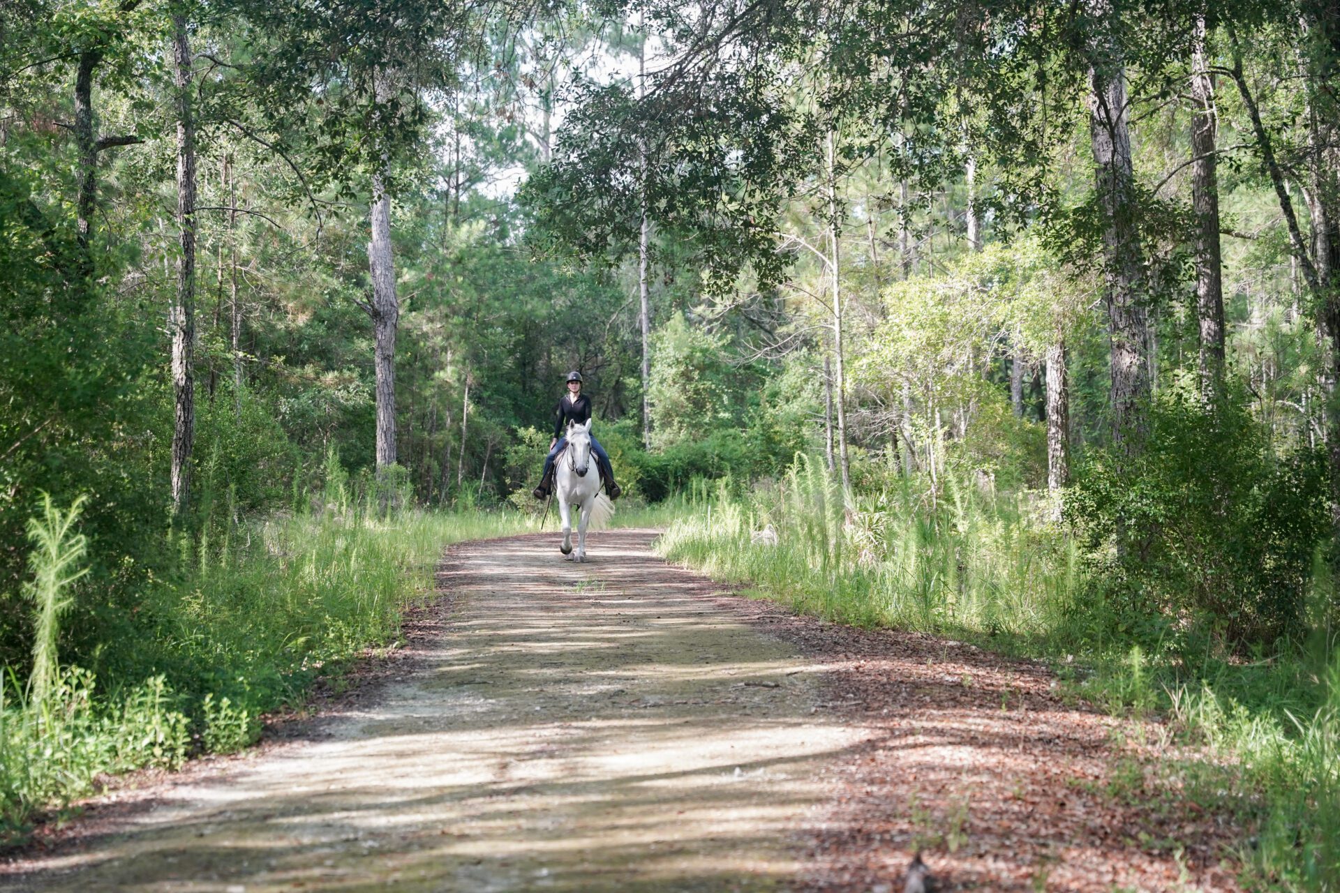 horseback vacation destination