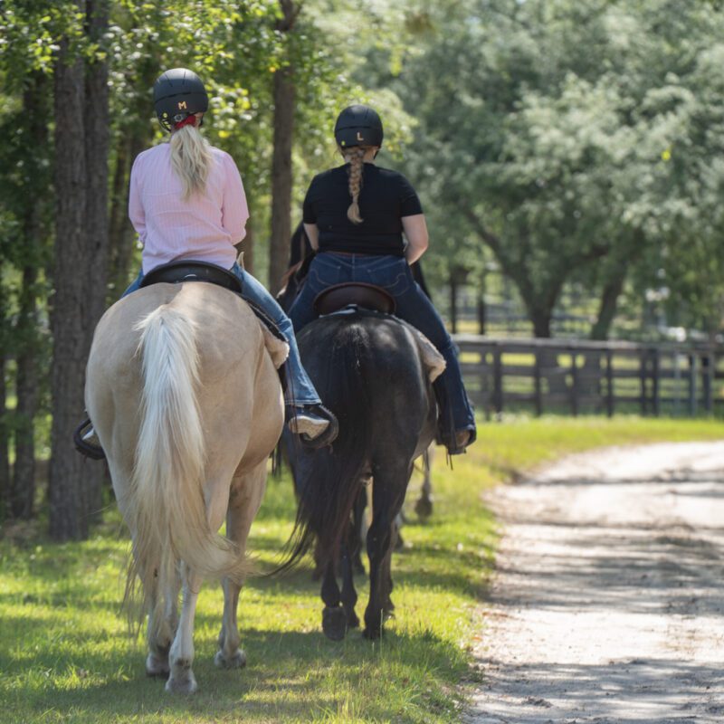 guided trail rides at black prong resort
