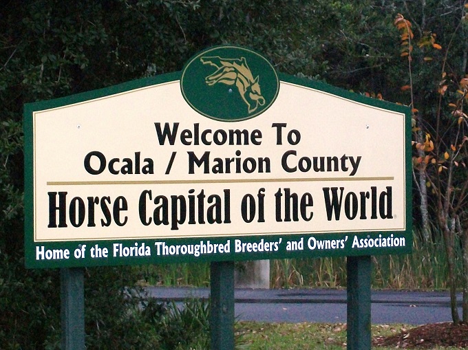 Ocala the horse capital of the world