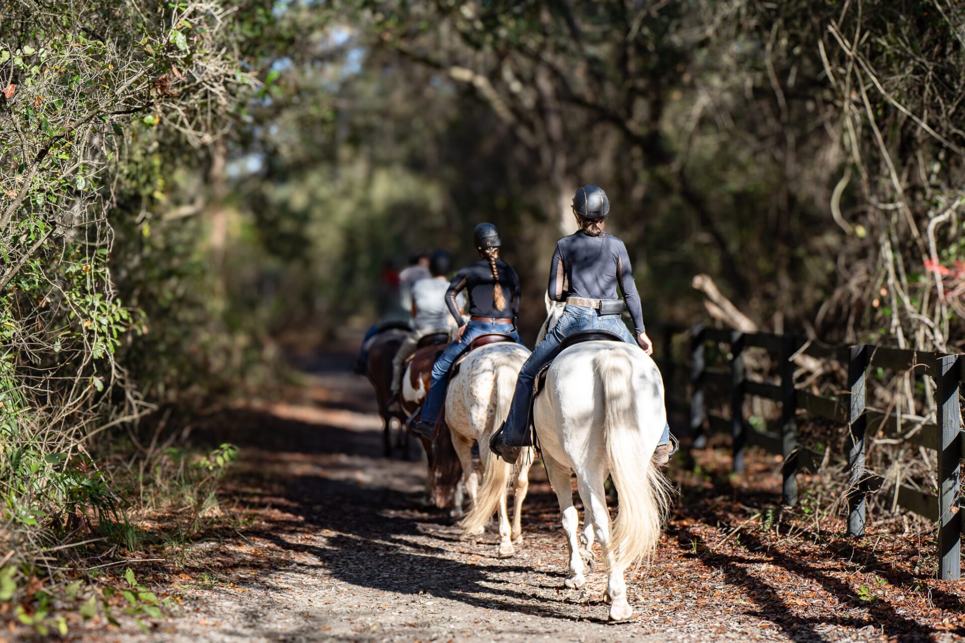 trail riding at black prong