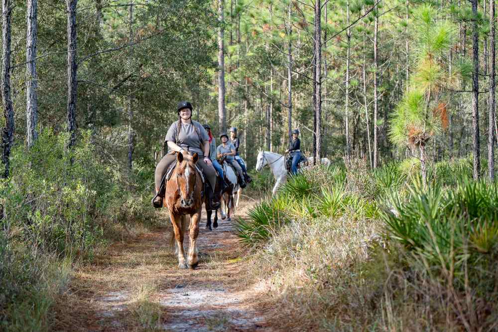 Best Horseback Riding Resorts in Florida