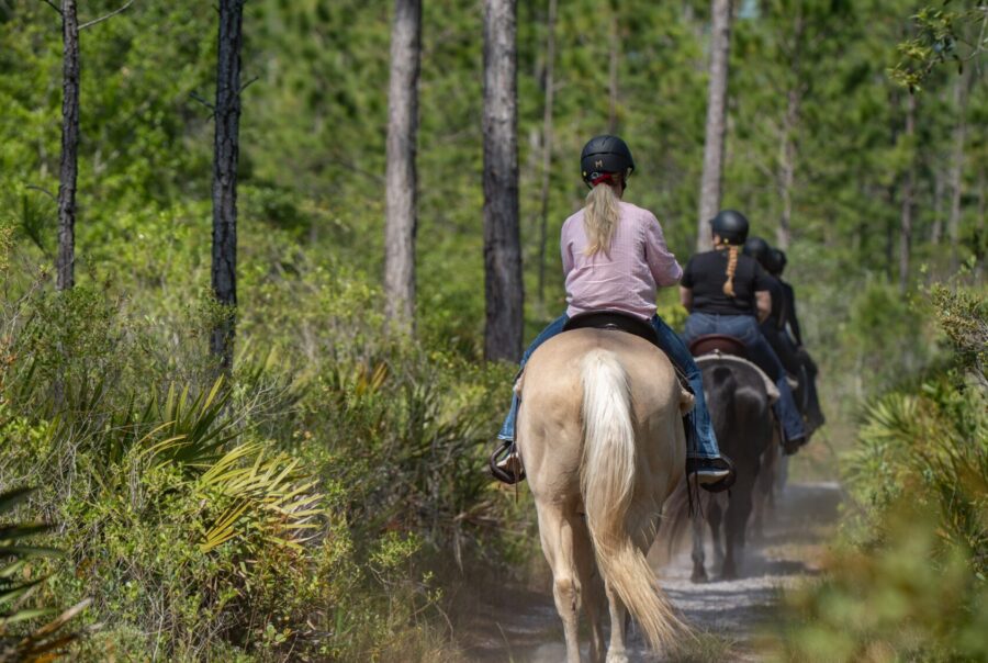 Best Horseback Riding Resorts in Florida