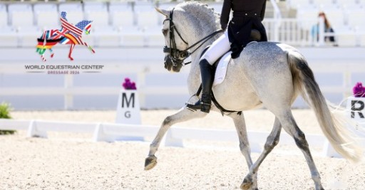 2025 Hampton Green Farms October Dressage
