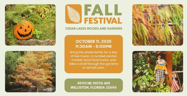 FALL FESTIVAL 2025