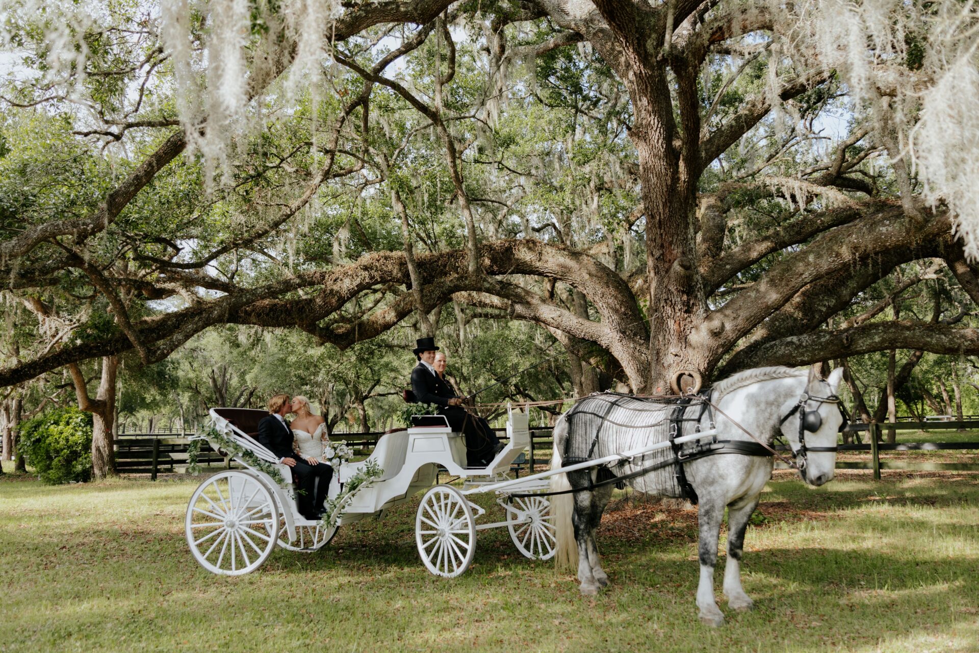 Kacie Rodriguez Photography