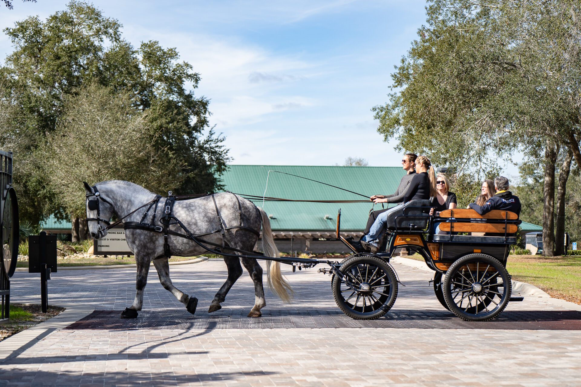 Horseback riders carriage riders enjoying holiday event