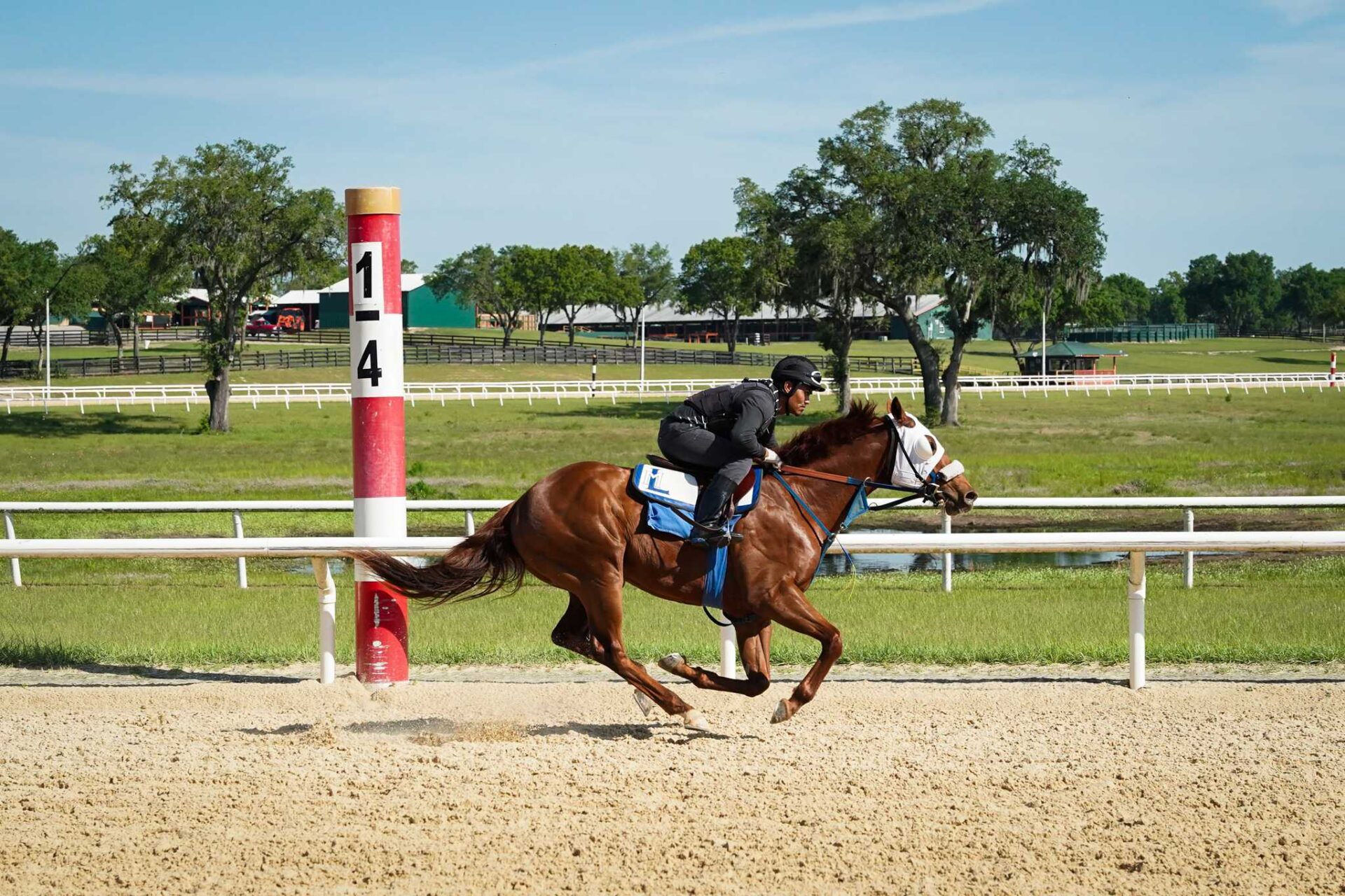 A racehorse and jockey run towards the right as they pass a 1/4 mile marker on a dirt racetrack