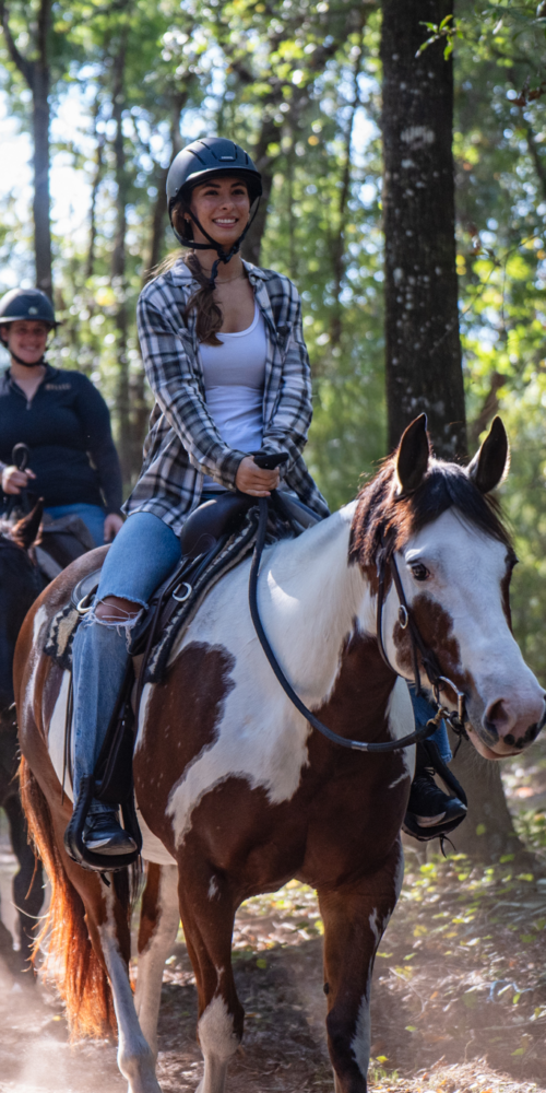 Horseback trail riding in ocala