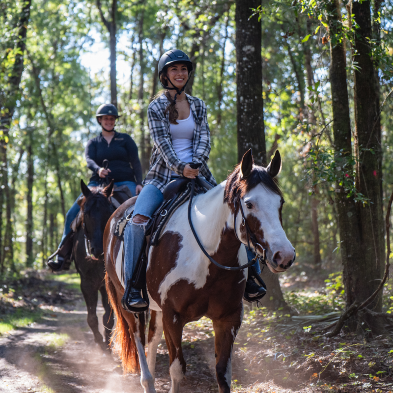 Horseback trail riding in ocala