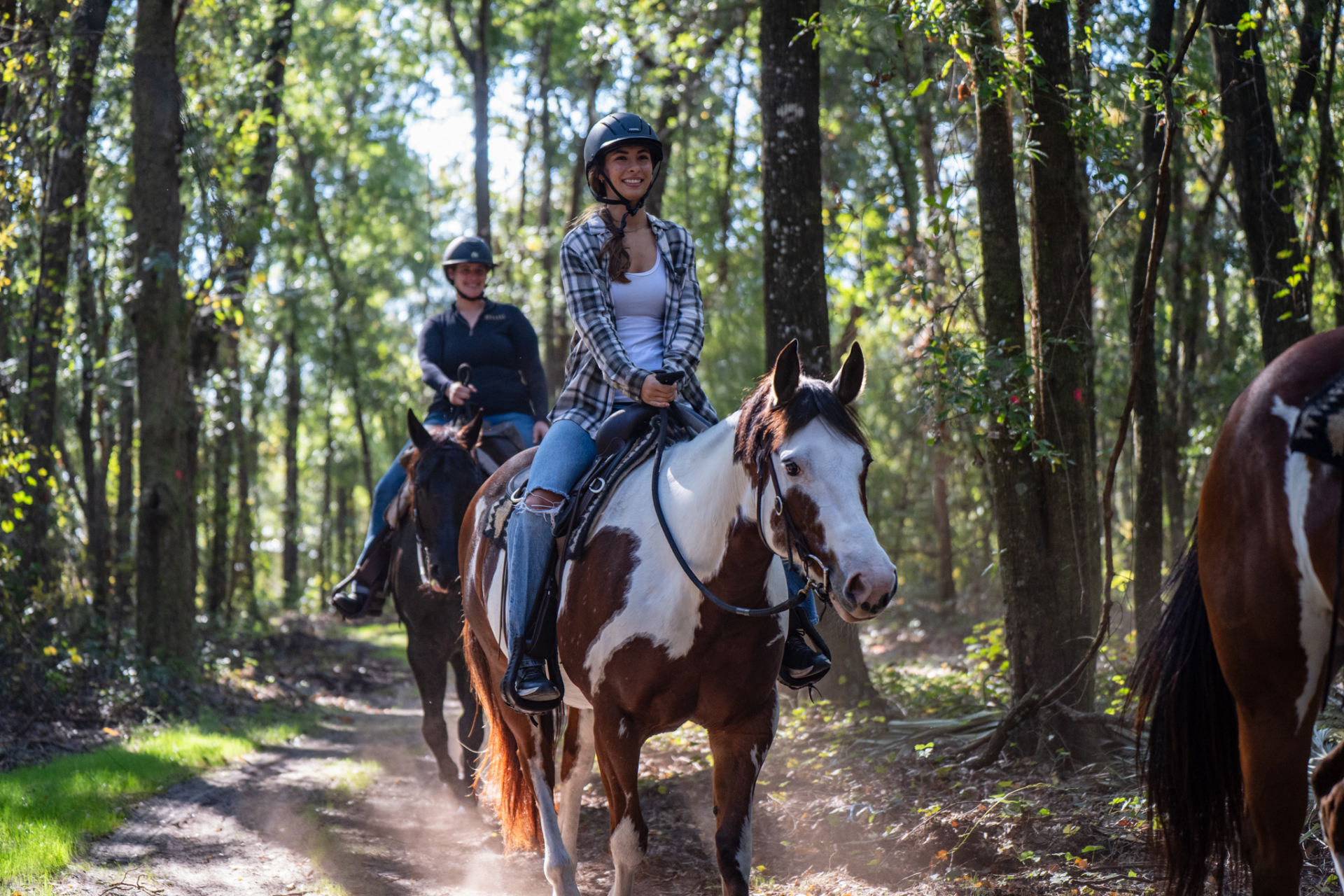 Horseback trail riding in ocala