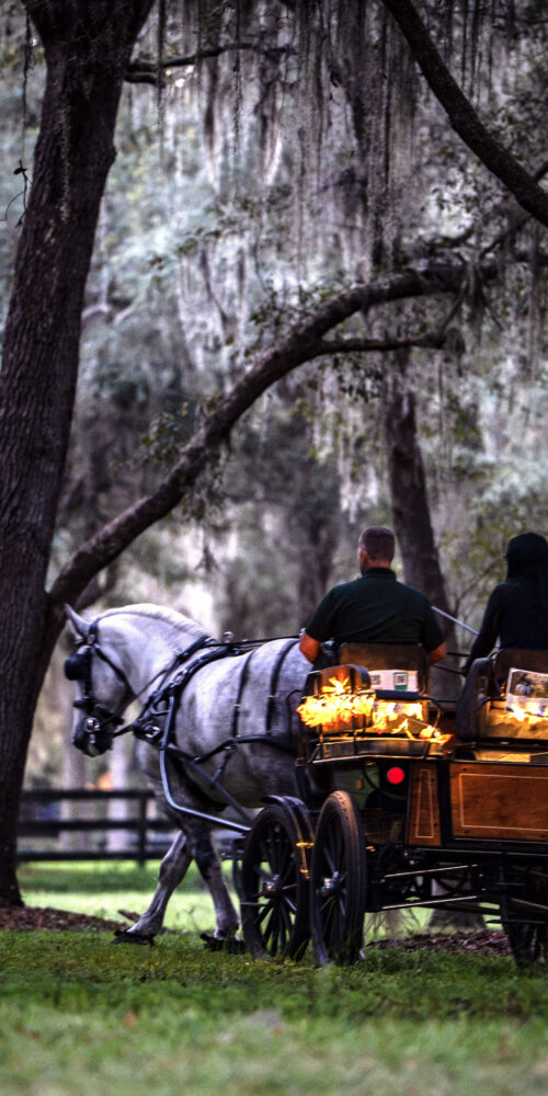 Black Prong Resort fall carriage ride