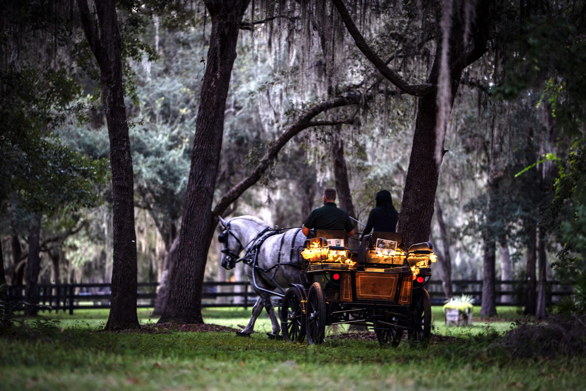 Black Prong Resort fall carriage ride